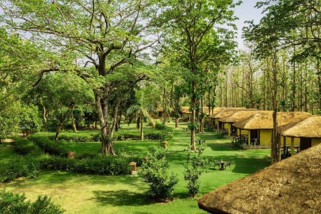 Bijrani Jungle Camp Resort